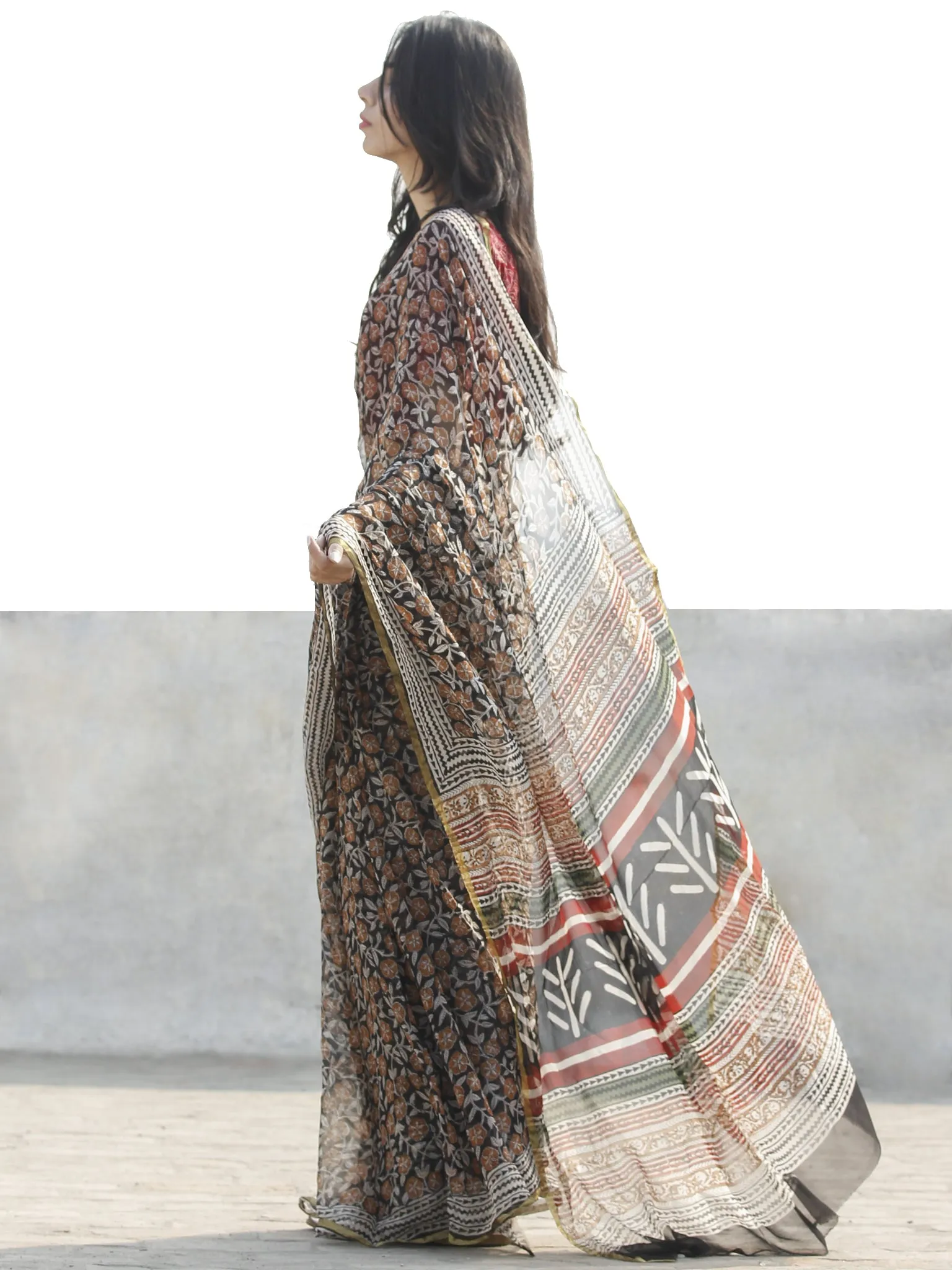 Beige Black Red Hand Block Printed Chiffon Saree with zari border- S031702659