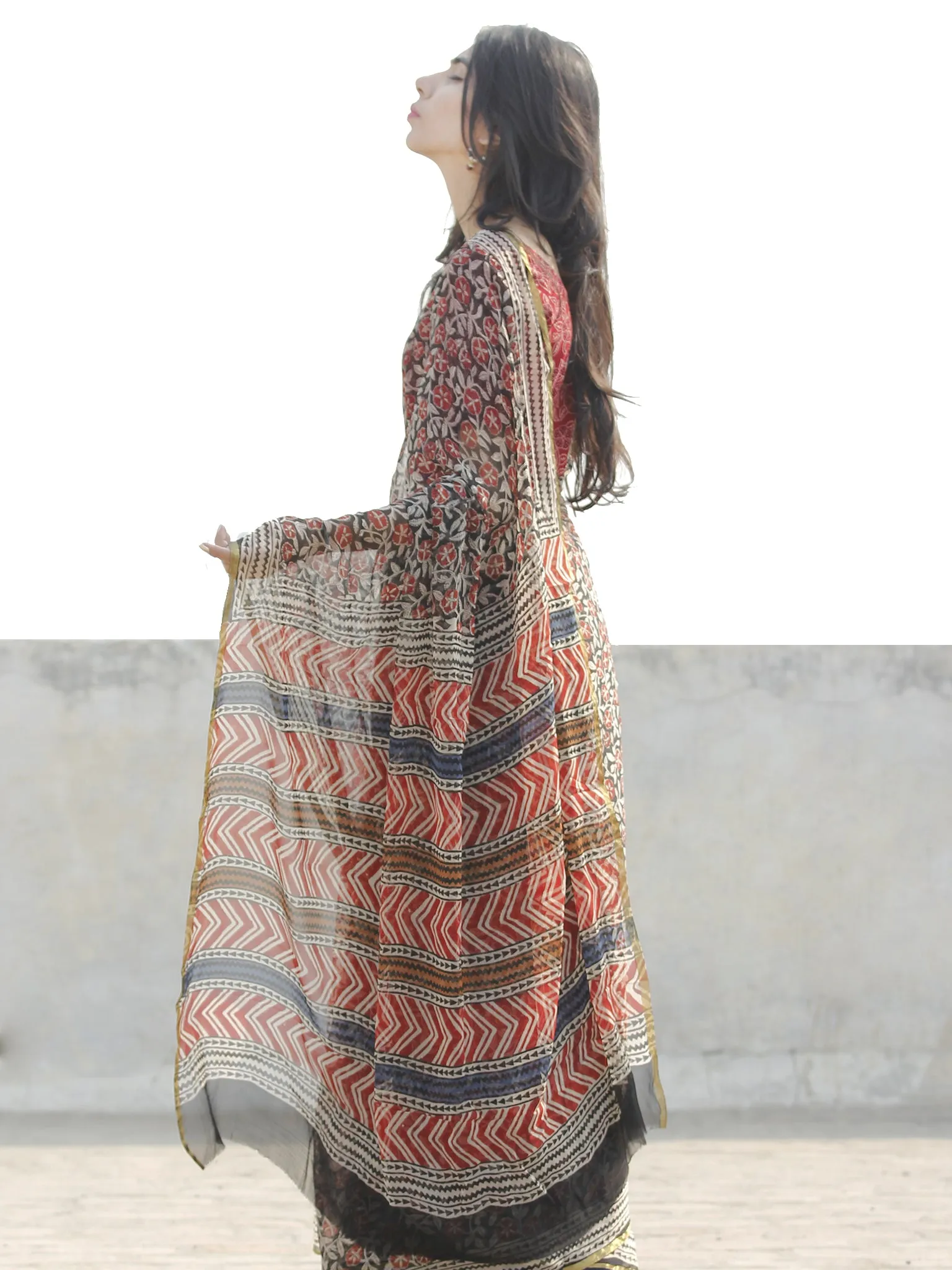 Beige Black Red Hand Block Printed Chiffon Saree with zari border- S031702669