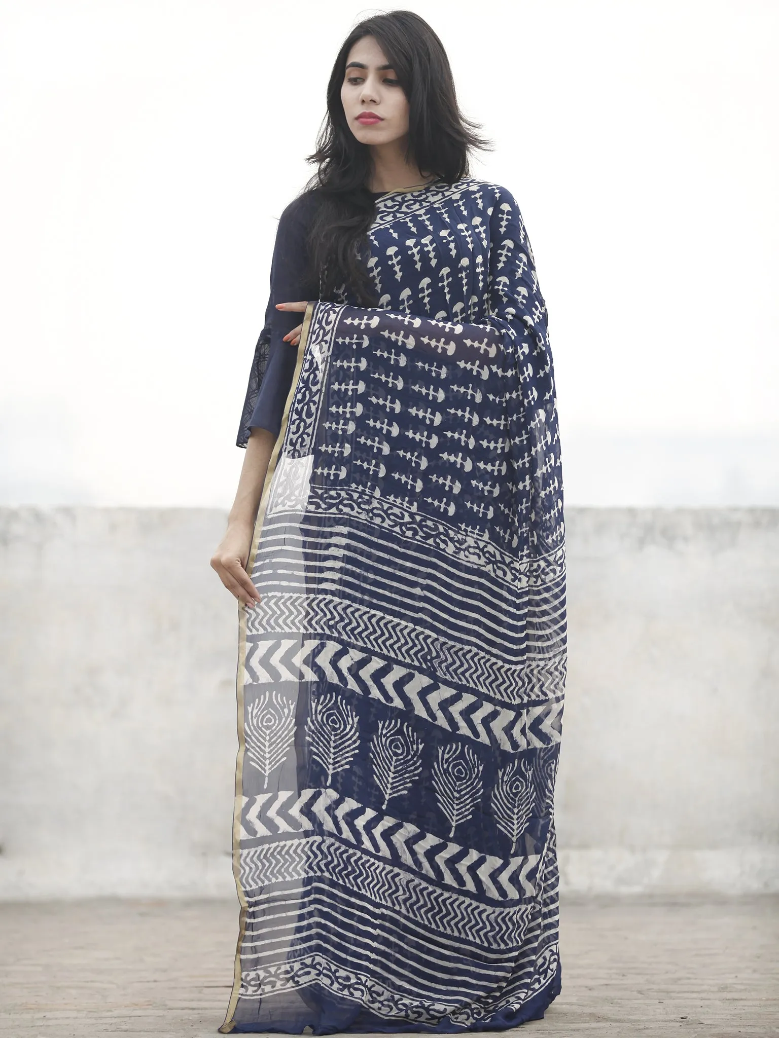 Blue White Hand Block Printed Chiffon Saree With Zari Border - S031702595