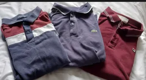 Top brands mix polos - Ralph Lauren, Fred Perry, Fila, Lacoste, Tommy.